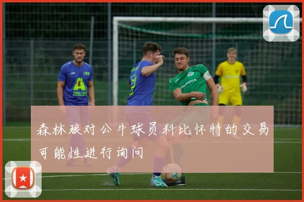 森林狼对公牛球员科比怀特的交易可能性进行询问