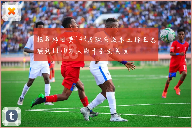 杨希转会费143万欧或成本土标王总额约1170万人民币引发关注