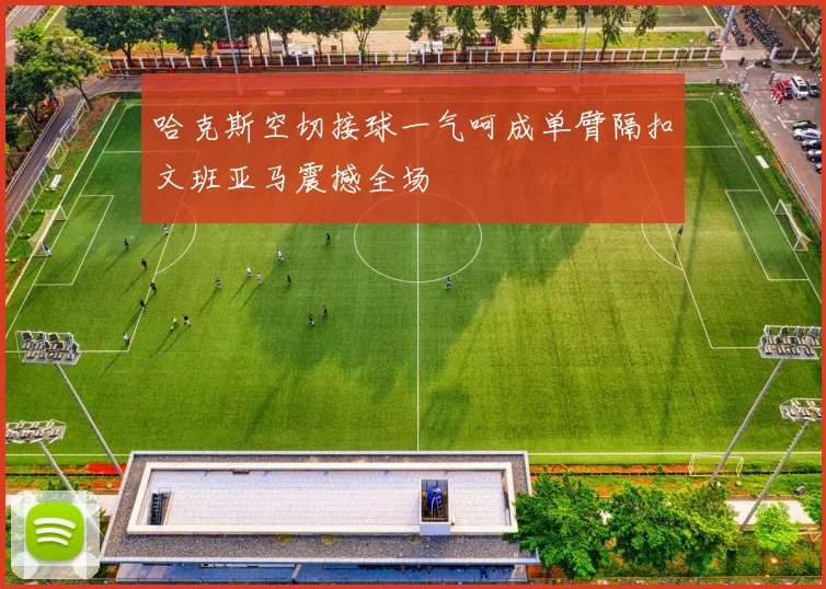 哈克斯空切接球一气呵成单臂隔扣文班亚马震撼全场