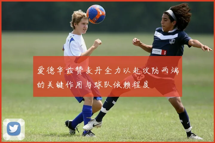 爱德华兹赞麦丹全力以赴攻防两端的关键作用与球队依赖程度