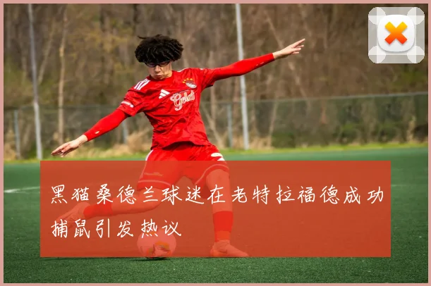 黑猫桑德兰球迷在老特拉福德成功捕鼠引发热议