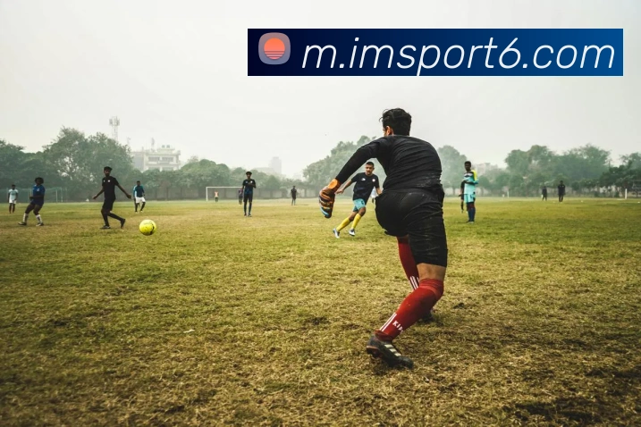 IM体育发展历程